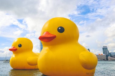 Hong Kong 'da dev Rubber Duck, Kowloon' un arka planı, 9 Haziran 2023