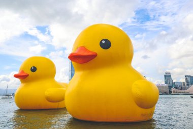 Hong Kong 'da dev Rubber Duck, Kowloon' un arka planı, 9 Haziran 2023