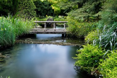 Bir taş fener sessiz nöbetçiler gibi duruyor.