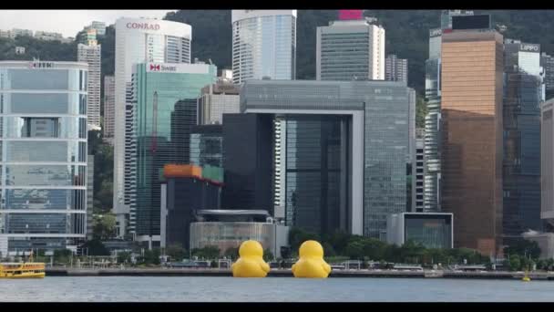 Quirky Charm Maritime Fun Giant Rubber Ducks June 2023 — Stock Video