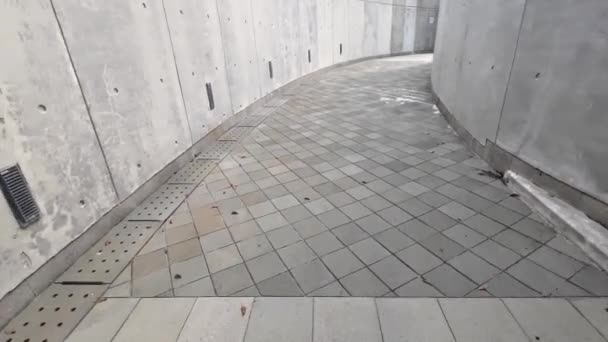 Cement Path Garden Svelare Bellezza Della Serenità Giugno 2023 — Video Stock