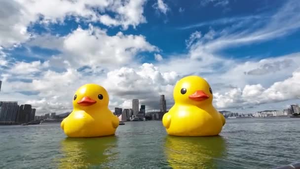 Rubber Ducks Playful Delight Victoria Harbour Iconic Waters June 2023 — 비디오
