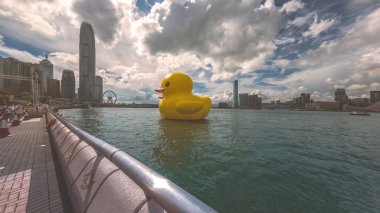 Rubber Duck Victoria Limanı, Hong Kong Iconic Waters 'da Neşeli Bir Zevk, 9 Haziran 2023