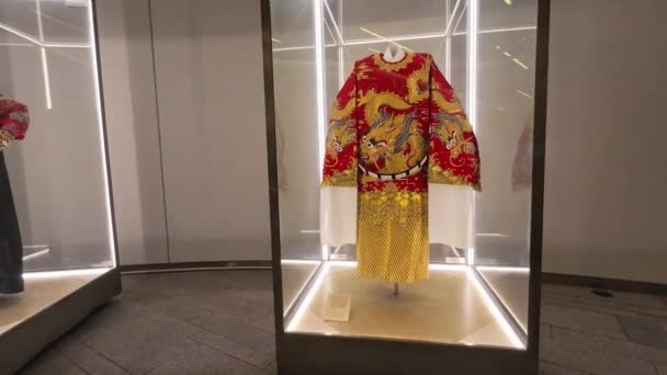 Traje Elaborado Colorido Usado Por Artistas Ópera Tradicional Chinesa Hong — Vídeo de Stock