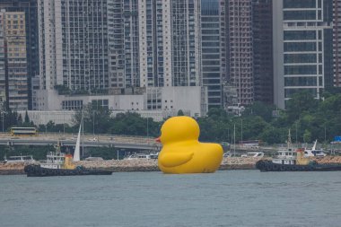 Dev Rubber Duck neşe getiriyor, yüzdüğü her yerde gülümsüyor, 18 Haziran 2023