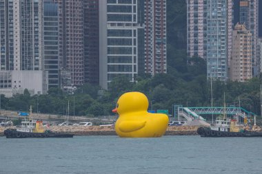 Dev Rubber Duck neşe getiriyor, yüzdüğü her yerde gülümsüyor, 18 Haziran 2023