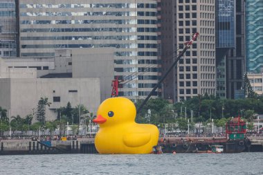 Dev Rubber Duck neşe getiriyor, yüzdüğü her yerde gülümsüyor, 18 Haziran 2023