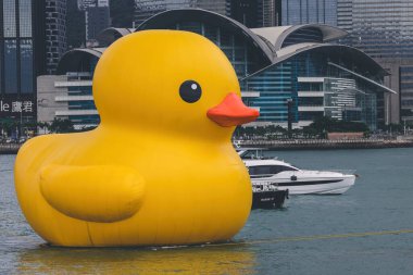 Dev Rubber Duck neşe getiriyor, yüzdüğü her yerde gülümsüyor, 18 Haziran 2023