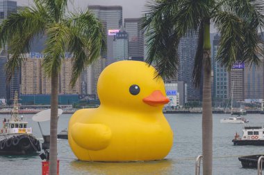 Dev Rubber Duck neşe getiriyor, yüzdüğü her yerde gülümsüyor, 18 Haziran 2023