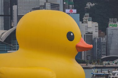 Dev Rubber Duck neşe getiriyor, yüzdüğü her yerde gülümsüyor, 18 Haziran 2023