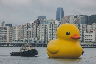 Dev Rubber Duck neşe getiriyor, yüzdüğü her yerde gülümsüyor, 18 Haziran 2023