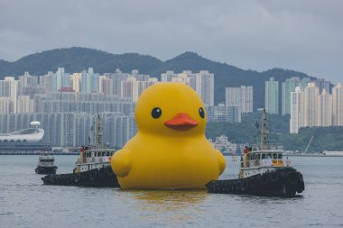 Dev Rubber Duck neşe getiriyor, yüzdüğü her yerde gülümsüyor, 18 Haziran 2023