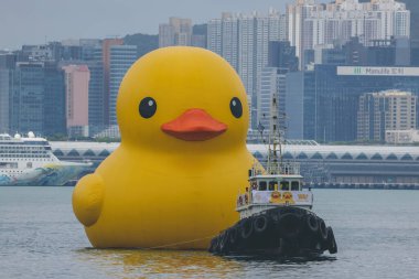 Dev Rubber Duck neşe getiriyor, yüzdüğü her yerde gülümsüyor, 18 Haziran 2023