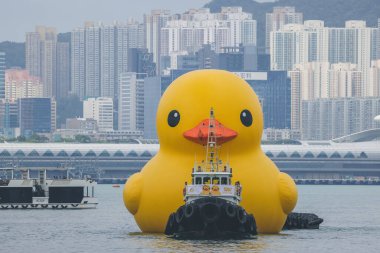 Dev Rubber Duck neşe getiriyor, yüzdüğü her yerde gülümsüyor, 18 Haziran 2023