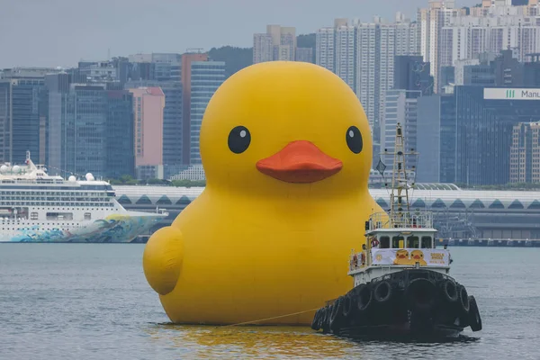 Dev Rubber Duck Neşe Getiriyor Yüzdüğü Her Yerde Gülümsüyor Haziran Stok Resim