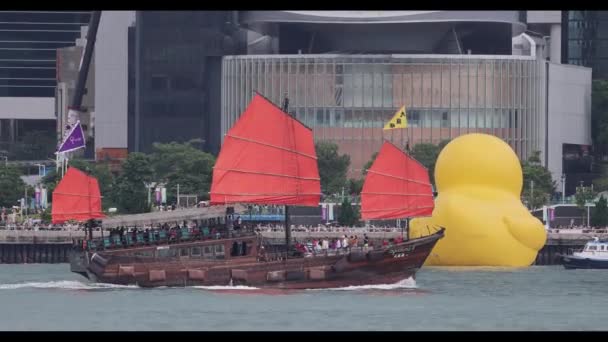 Old Wooden Tourist Junk Ferry Boat Victoria Harbor Hong Kong — Vídeo de stock