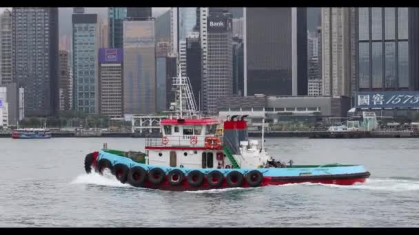 Boa Pilotażowy Victoria Harbor Hongkongu Czerwca 2023 — Wideo stockowe