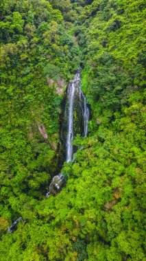 Pak Shui Wun Şelalesi Sai kung, Hong Kong 'da