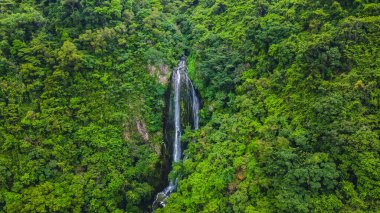 Pak Shui Wun Şelalesi Sai kung, Hong Kong 'da