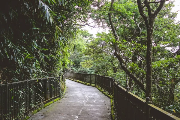 ピーク 香港で息をのむような景色を歩くトレイル6月26 2023 — ストック写真