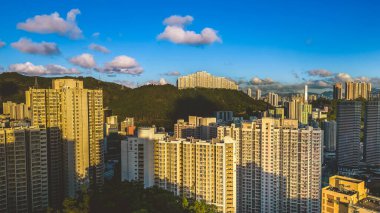 8 Temmuz 2023 'te Kwai Tsing Bölgesi' nin davetkar yerleşim alanını keşfedin.