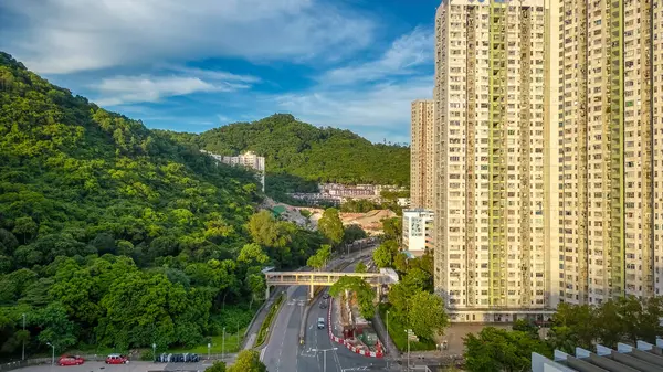 Po Lam Malikanesi, TKO Hong Kong, 20 Temmuz 2023