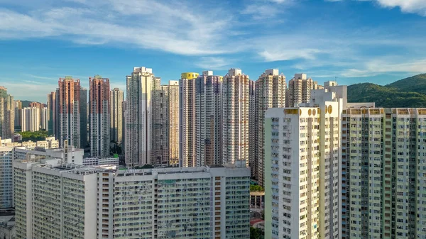 Po Lam Malikanesi, TKO Hong Kong, 20 Temmuz 2023