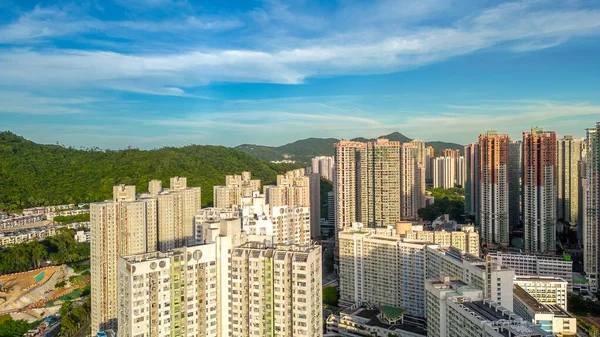 Po Lam Malikanesi, TKO Hong Kong, 20 Temmuz 2023