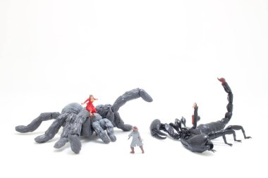 Siyah Akrep örümcekle savaşıyor.