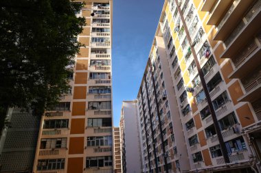 Ma Tau Wai Malikanesi, 22 Temmuz 2023