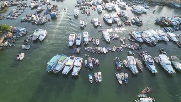 Destino Para Varios Tipos Buques Barcos Barcos Yates Julio 2023 — Vídeo de stock
