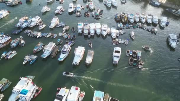 Destinazione Vari Tipi Navi Navi Barche Yacht Luglio 2023 — Video Stock