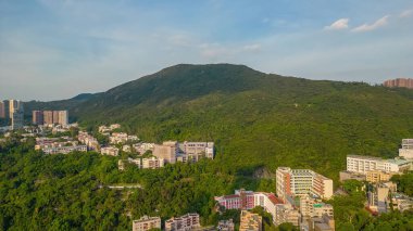 Perkinsis 28 Temmuz 2023, Orta Seviye Bölgesi