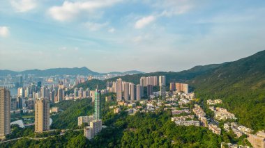 Perkinsis 28 Temmuz 2023, Orta Seviye Bölgesi