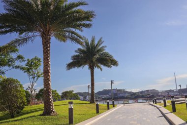 Cheung Sha Wan Gezinti Alanı, Hong Kong 3 Ağustos 2023