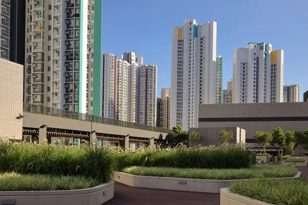 Himmel Trädgård Taket Condominium Hoi Tat Estate Aug 2023 — Stockfoto
