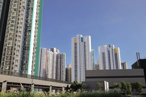 Céu Jardim Telhado Condomínio Hoi Tat Estate Aug 2023 — Fotografia de Stock