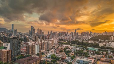 Şehir Zarafetinin Kowloon Tong Bölgesi, 12 Ağustos 2023 12 Ağustos 2023