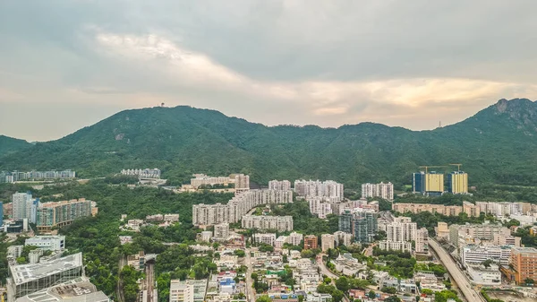 Kowloon Tong Konutları Villalar ve Daireler Şehir Oasis 19 Ağustos 2023