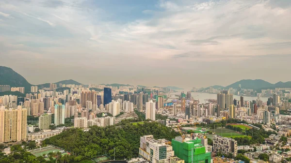 Kowloon Şehri Bölge Peyzajı Şehir Büyüsü 19 Ağustos 2023