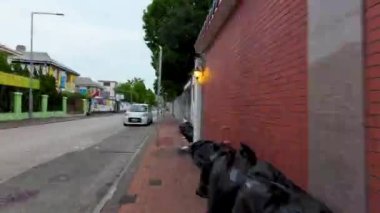 Hong Kong - 19 Ağustos 2023: Şehir Enerjisinin Huzur Buluştuğu Yayın Sürücüsü