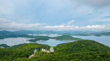 Chuk Kok, Hong Kong 'un Ortasında Tuhaf Bir Köy, Bölge Ağacı 27 Ağustos 2023