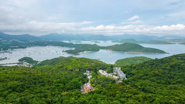 Chuk Kok, Hong Kong 'un Ortasında Tuhaf Bir Köy, Bölge Ağacı 27 Ağustos 2023