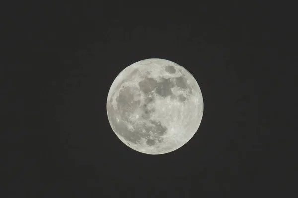 Luna Llena Noche Oscura —  Fotos de Stock