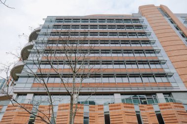 Üniversite Kampüsü, Hong Kong 7 Şubat 2015