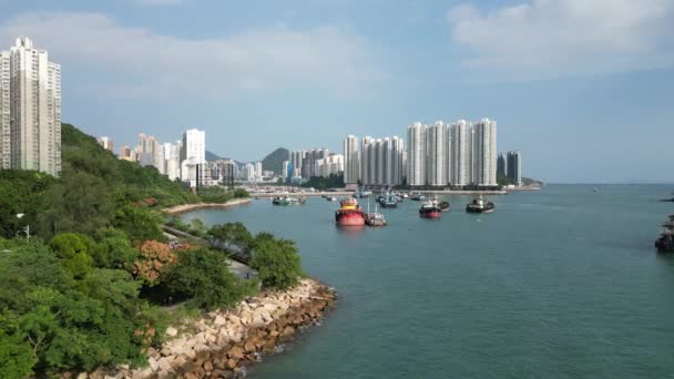 Hong Kong Octubre 2023 Lei Chau Descubriendo Vida Isla Aberdeen — Vídeo de stock