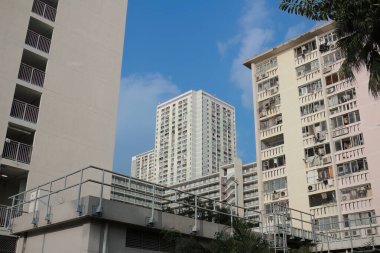 14 Ekim 2023 'te Wah Fu Estate Hong Kong' un ortasındaki halk vahası.