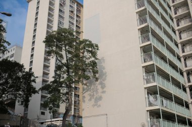 14 Ekim 2023 'te Wah Fu Estate Hong Kong' un ortasındaki halk vahası.