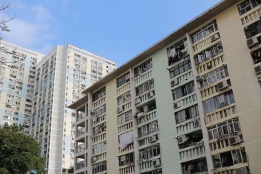 14 Ekim 2023 'te Wah Fu Estate Hong Kong' un ortasındaki halk vahası.