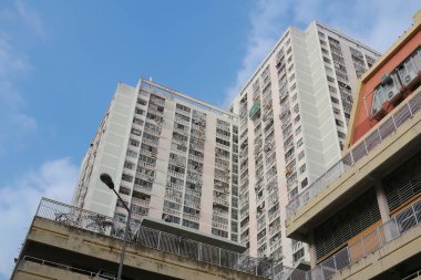 14 Ekim 2023 'te Wah Fu Estate Hong Kong' un ortasındaki halk vahası.